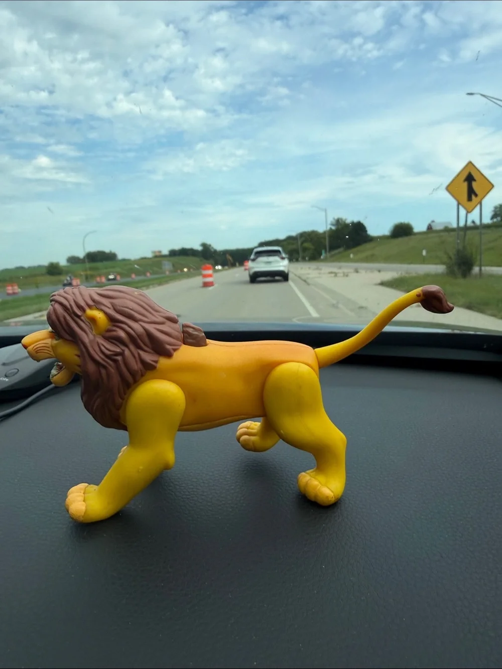 N/A disney lion